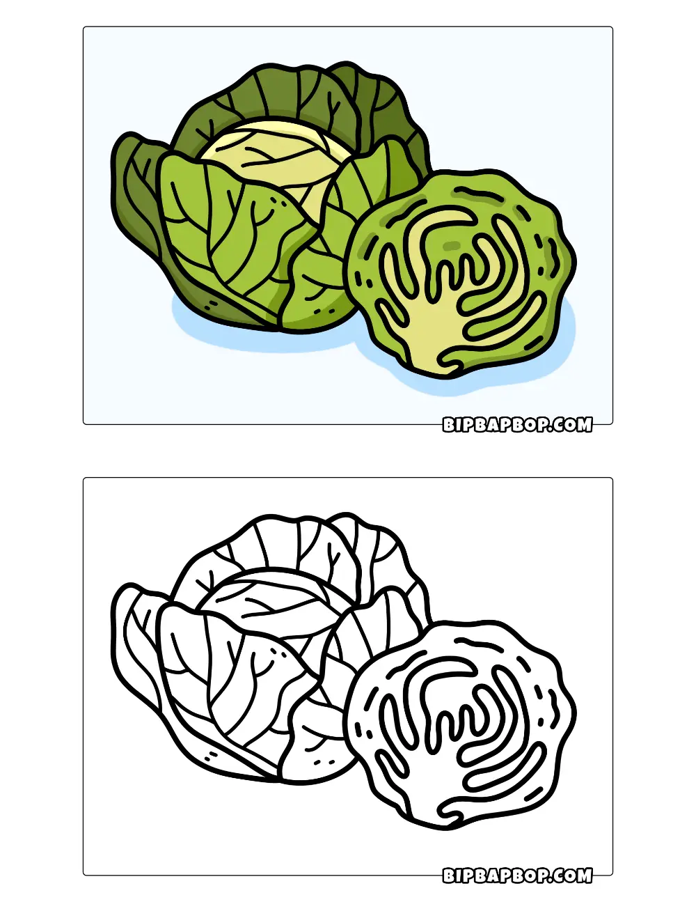 Cabbage Coloring Page