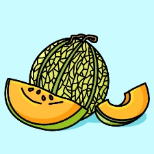 Cantaloupe Coloring Page