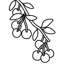 Cherries Coloring Page