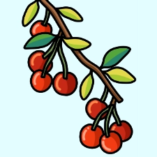 Cherries Coloring Page