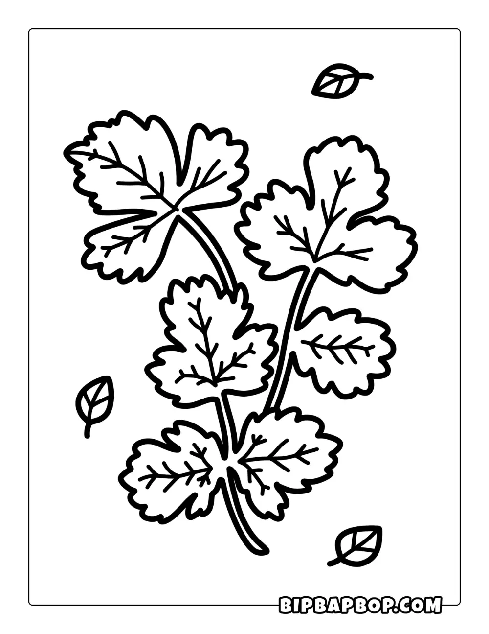 Cilantro Coloring Page