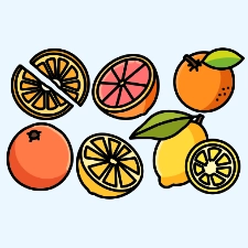 Citrus Fruits Coloring Page