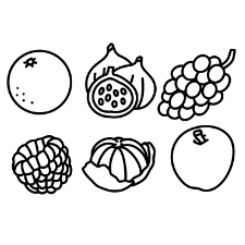 Group Of Fruits Coloring Page