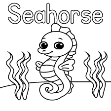 Happy Seahorse Coloring Page