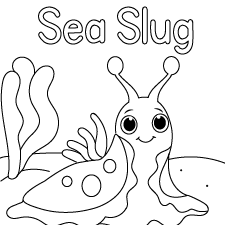 Happy SeaSlug Coloring Page