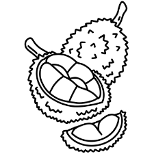 Jackfruit Coloring Page