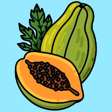 Papaya Coloring Page