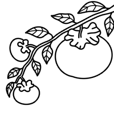 Persimmon Coloring Page
