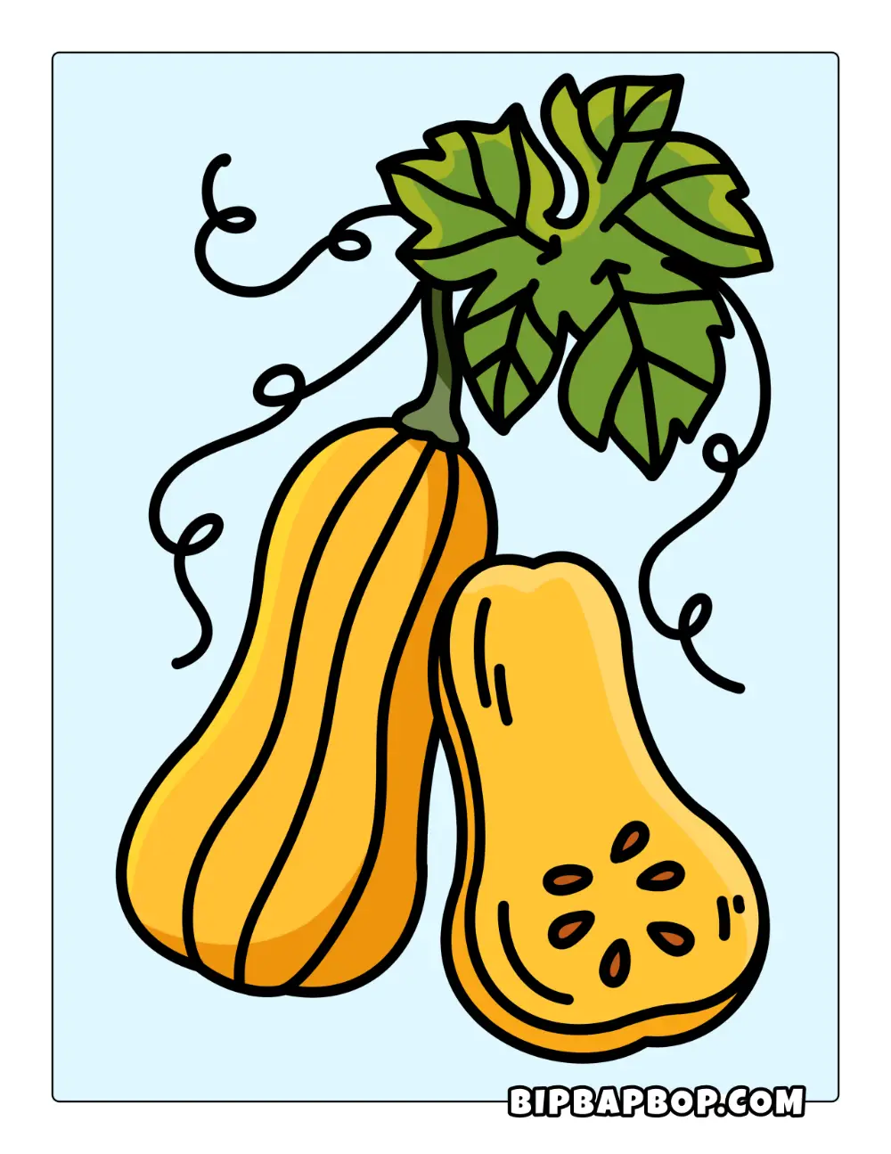 Squash coloring page