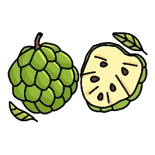 Sugar Apple Coloring Page