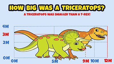 How big was a Triceratops? A Triceratops was smaller than a T-Rex!