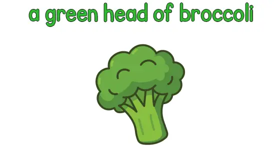 A Green Head of Broccoli Coloring Page