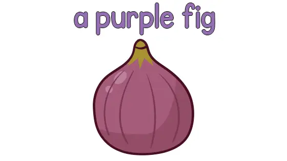 A Purple Fig Coloring Page