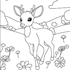 Baby Deer In The Meadow Coloring Page