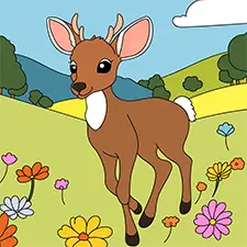 Baby Deer In The Meadow Picture