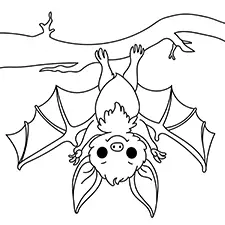 Bat Hanging Upside Down Coloring Page