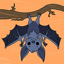 Bat Hanging Upside Down Coloring Page