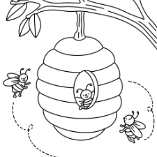 Bees Nest Coloring Page