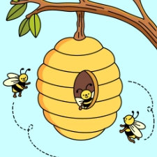 Bees Nest Coloring Page