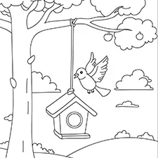 Bird On A Birdhouse Coloring Page