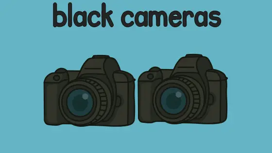 Black Cameras Printable