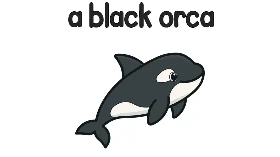 A Black Orca Printable