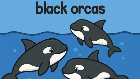 Black Orcas Printable