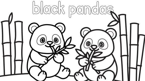 Black Pandas Coloring Page