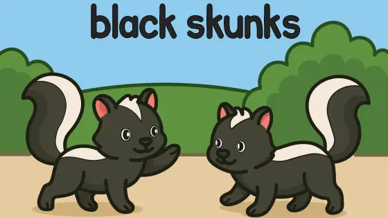 Black Skunks Printable