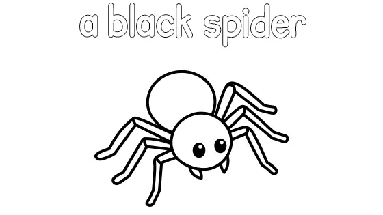 A Black Spider Coloring Page
