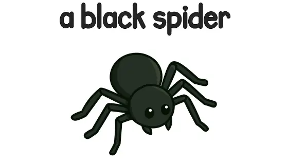 A Black Spider Printable
