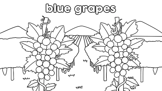 Blue Grapes Coloring Page Black & White