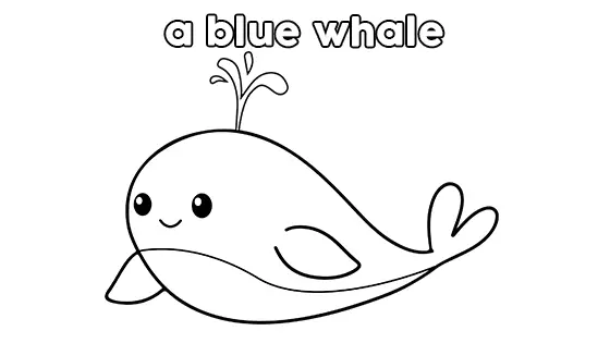 A Blue Whale Coloring Pages Free PDF Download Black & White
