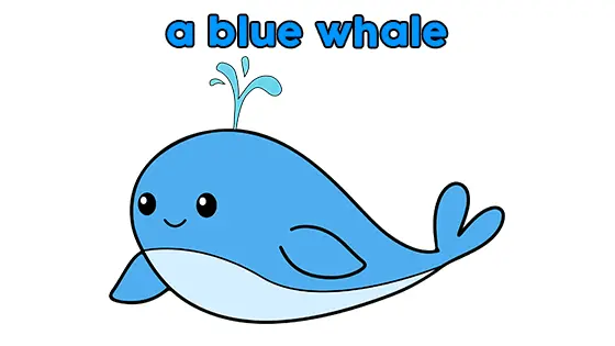 A Blue Whale Coloring Pages Free PDF Download Color