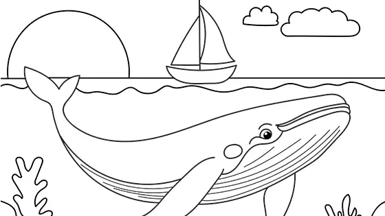 Blue Whale And A Sailboat Coloring Page