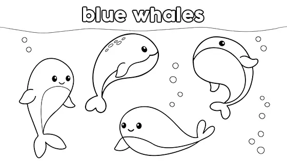 Blue Whales Coloring Page Black & White