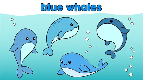 Blue Whales Coloring Page Color