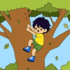 Boy Climbing A Tree Picture