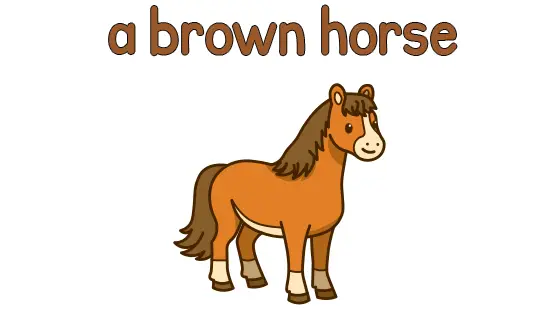 A Brown Horse