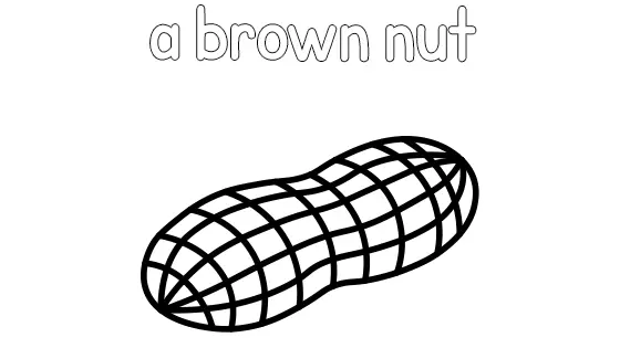 A Brown Nut Coloring Page