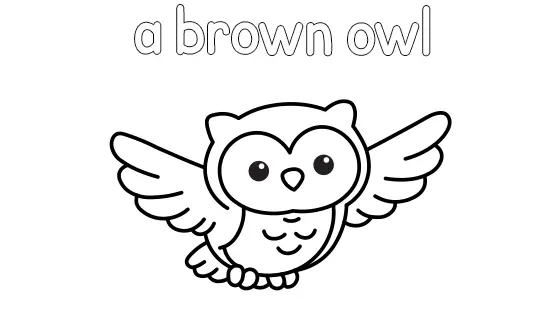 A Brown Owl Coloring Page