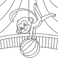 Circus Monkey Balancing On A Ball Coloring Page