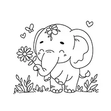 Elephant With A Flower Coloring Page