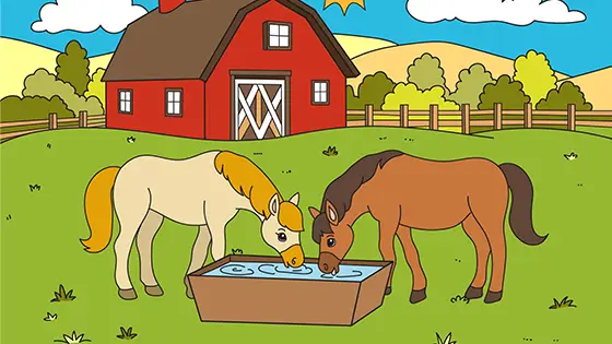 Farm Horses By The Trough Coloring Page