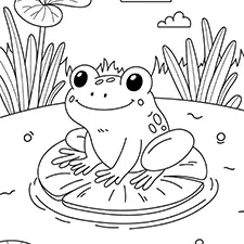 Frog On A Lilypad Coloring Page