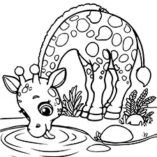 Giraffe At The Watering Hole Coloring Page Black & White