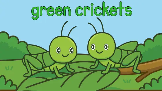 Green Crickets Coloring Page
