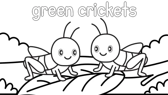 Green Crickets Coloring Page