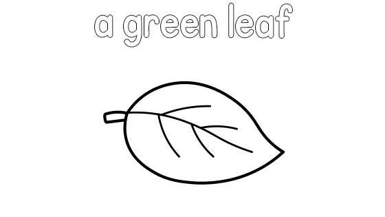 A Green Leaf Coloring Page