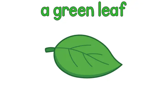 A Green Leaf Coloring Page